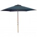 Sun umbrella-018
