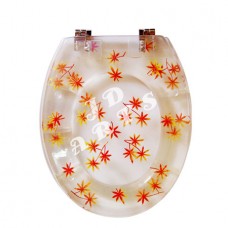 Resin toilet seat-011