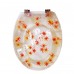 Resin toilet seat-011