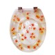 Resin toilet seat-011