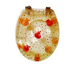 Resin toilet seat-018